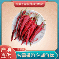 產(chǎn)地直供 內(nèi)蒙干辣椒 望都椒 自然晾曬辣椒干 現(xiàn)貨供應量大價優(yōu)
