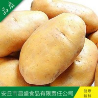 供應(yīng)出口中東、東南亞級(jí)保鮮荷蘭7號(hào)、15號(hào)（價(jià)格面議）