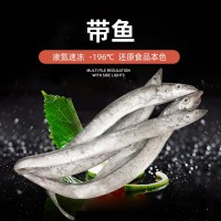 舟山東海雷達(dá)網(wǎng)小眼帶魚(yú) 大帶4兩-1斤套袋帶魚(yú) 批發(fā)海捕新鮮帶魚(yú)