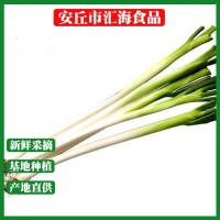 新鮮蔥段大蔥長(zhǎng)蔥青蔥蔬菜基地直銷(xiāo)大蔥去葉去皮蘸醬大蔥蔬菜批發(fā)（價(jià)格面議）