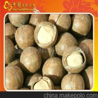 批發(fā)供應新疆特產 休閑保健食品 夏威夷果